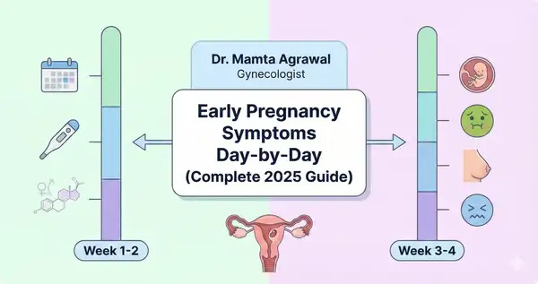 Infographic showing early pregnancy symptoms day by day during the first weeks of pregnancy